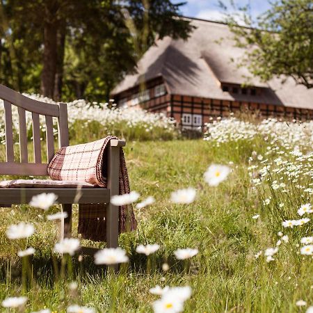 Park Am See X Nattika Ayurveda, Hotel Health Spirit Penzlin Екстериор снимка