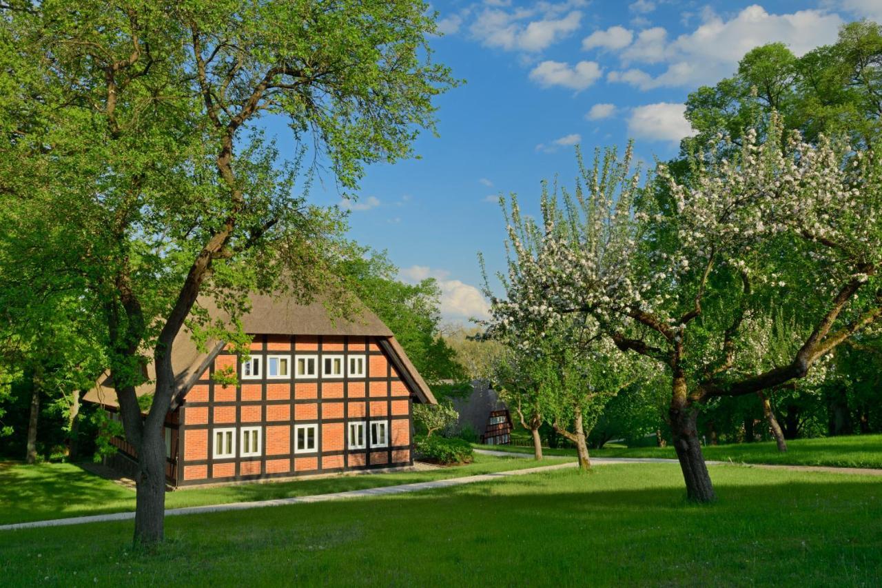 Park Am See X Nattika Ayurveda, Hotel Health Spirit Penzlin Екстериор снимка