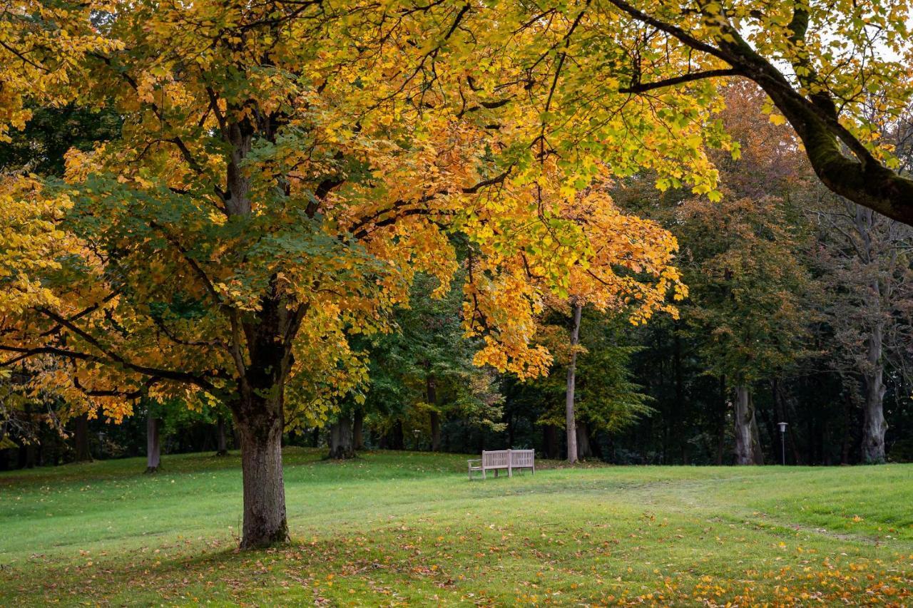 Park Am See X Nattika Ayurveda, Hotel Health Spirit Penzlin Екстериор снимка